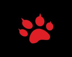 Thiết Bị Điện Tử 