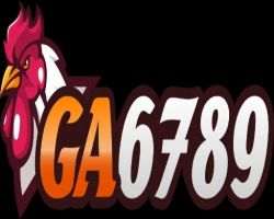 Thiết Bị Điện Tử 